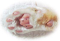 �~�[�����̓���