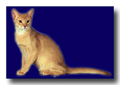 �A�r�V�j�A��