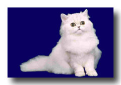 �`���`��