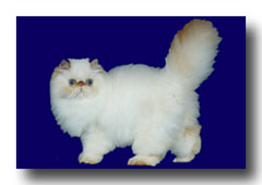 �q�}������